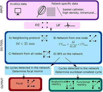 Directed Networks as a Novel Way to Describe and Analyze Cardiac Excitation: Directed Graph Mapping